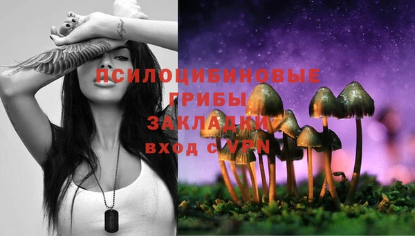 трава Абинск